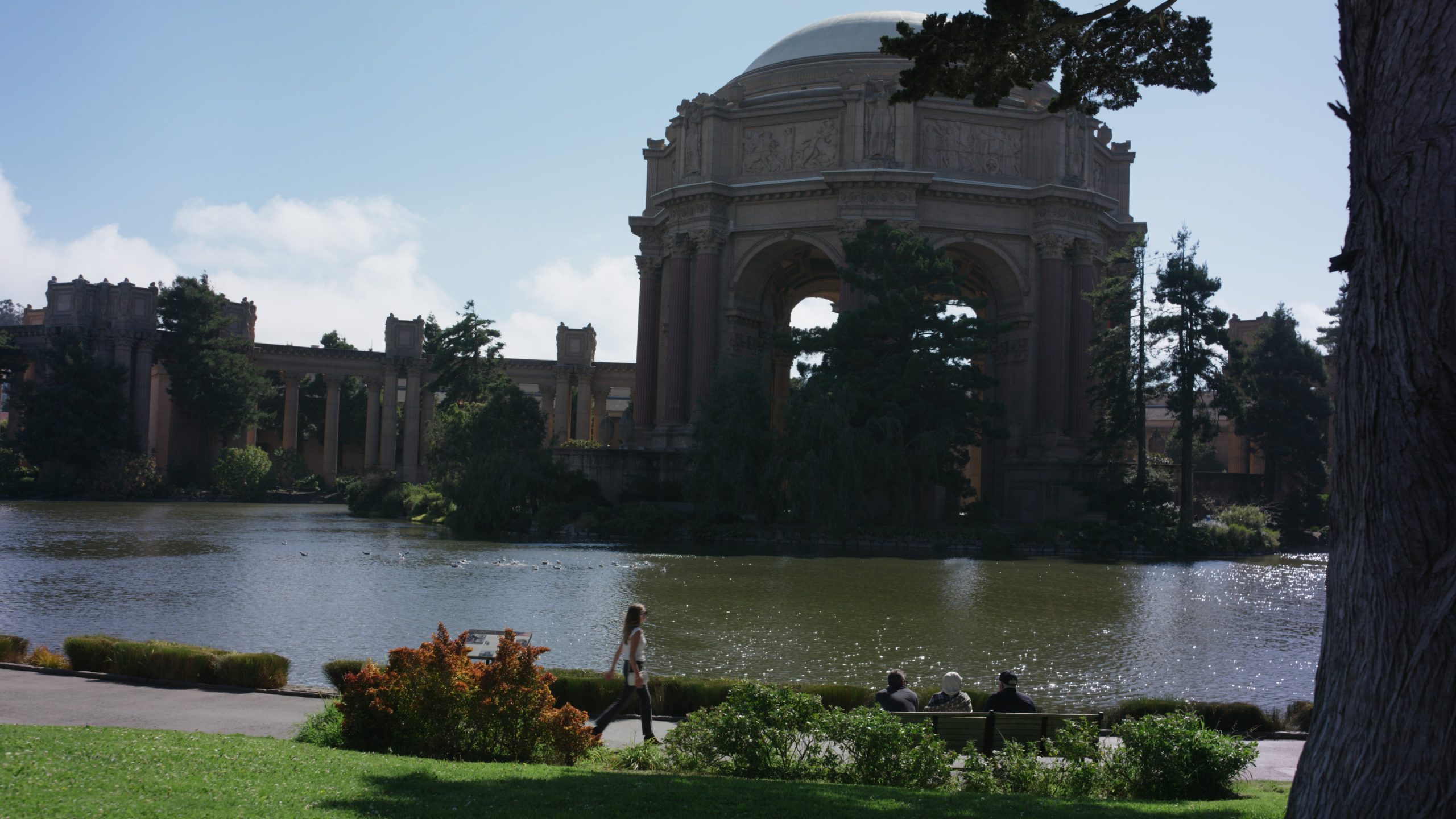 Flo wide shot of Palace of Arts scaled