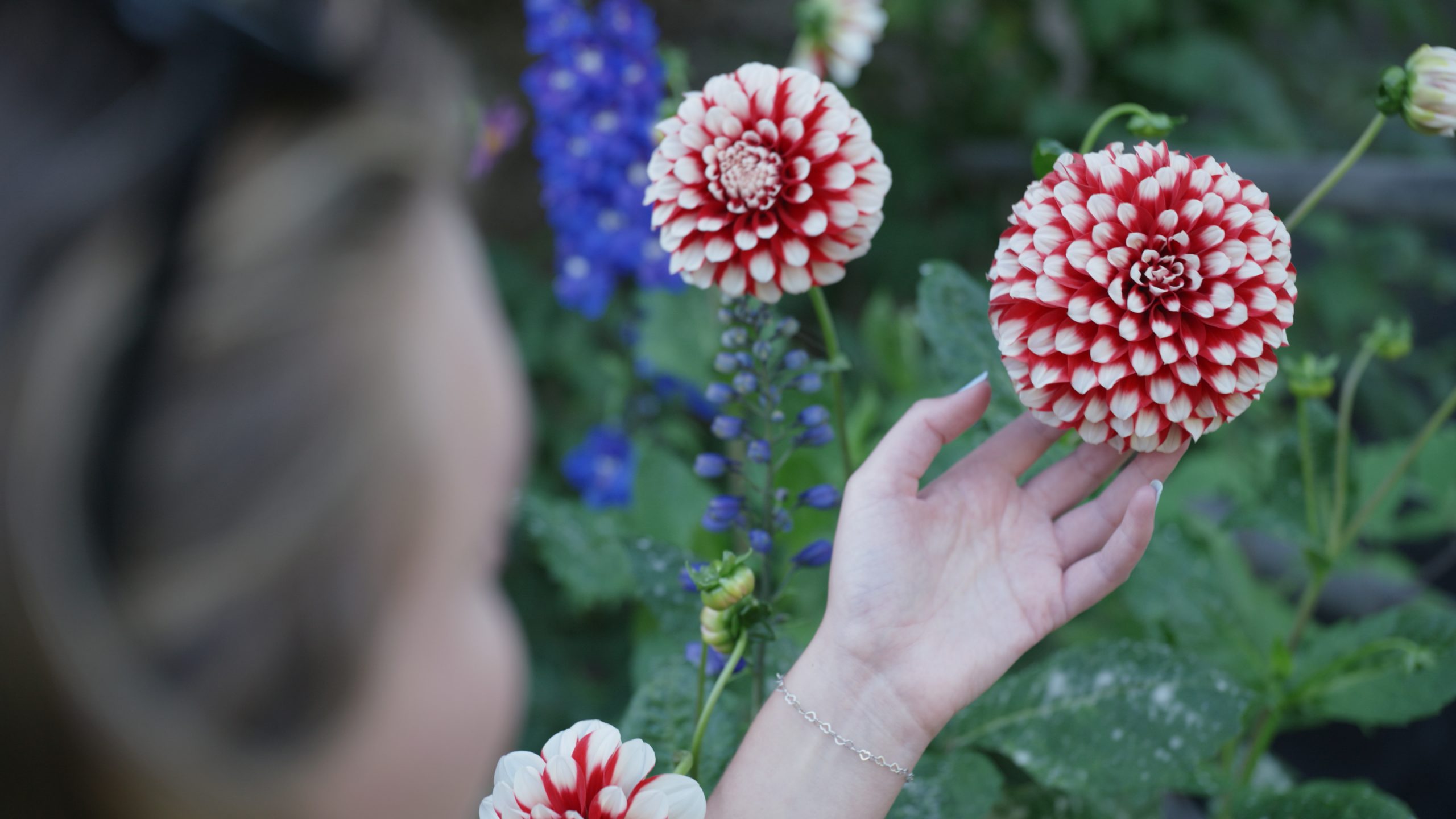 Flo with Dahlias OTS scaled