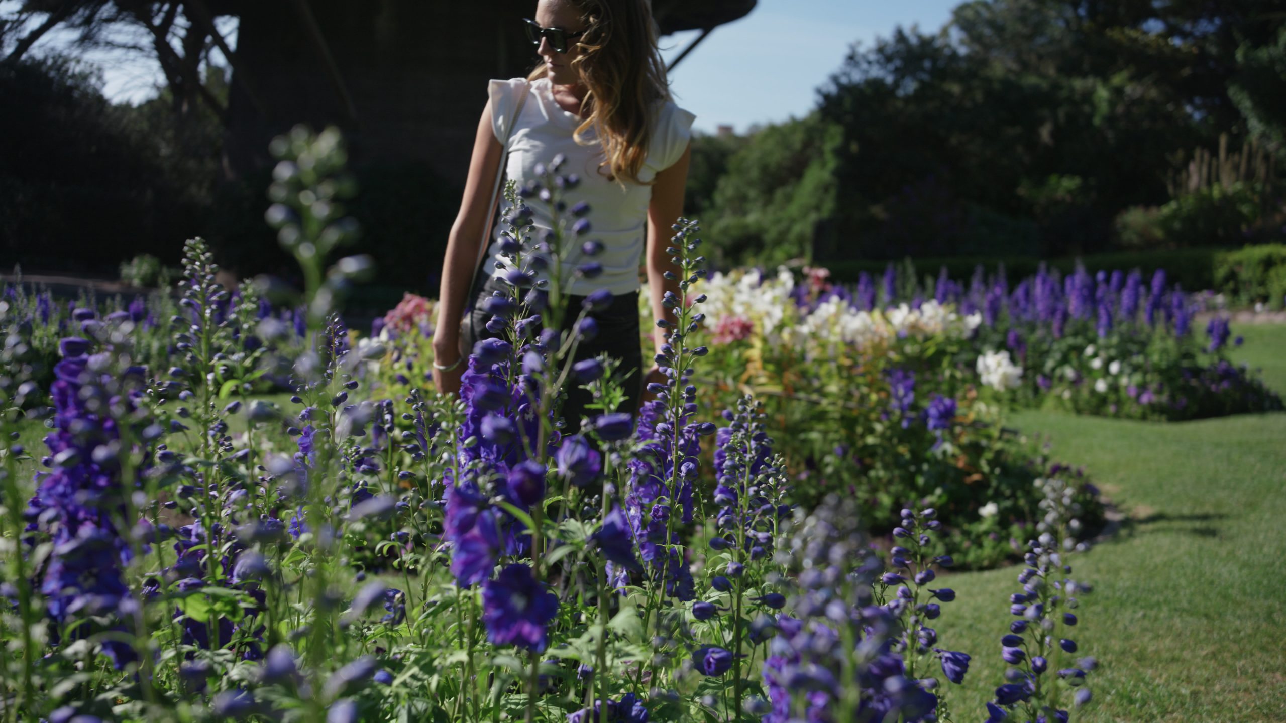 Flo with Windmill Purple Flowers scaled